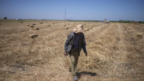 agriculture reprend des couleurs
